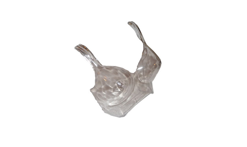 Imagen ilustrativa de Exhibidor de Corpiños cristal